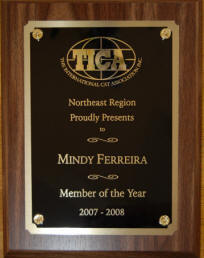 TICA Northeast Region Member of the Year 2007-2008
